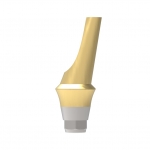 Angulated Abutment